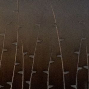 Meet your Posher, Juliana